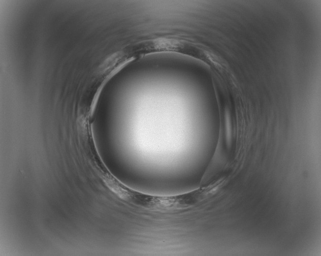 X0000079320329200611171129