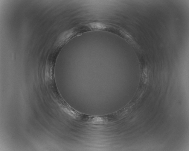 X0000079320330200611171129