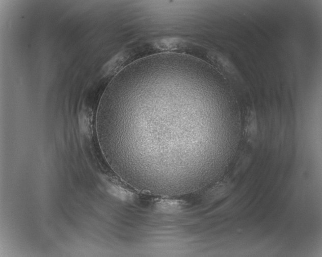 X0000079320332200611171129