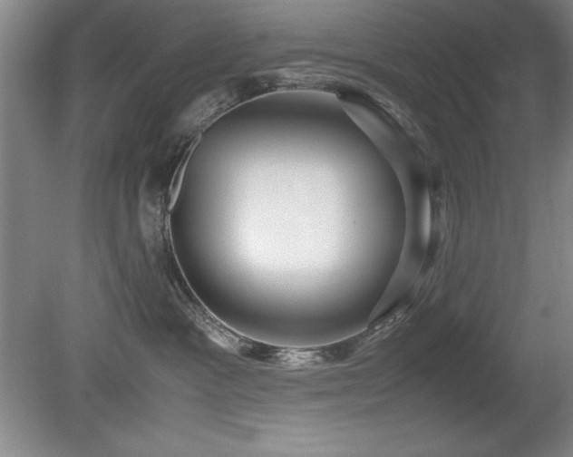 X0000079320333200611171129