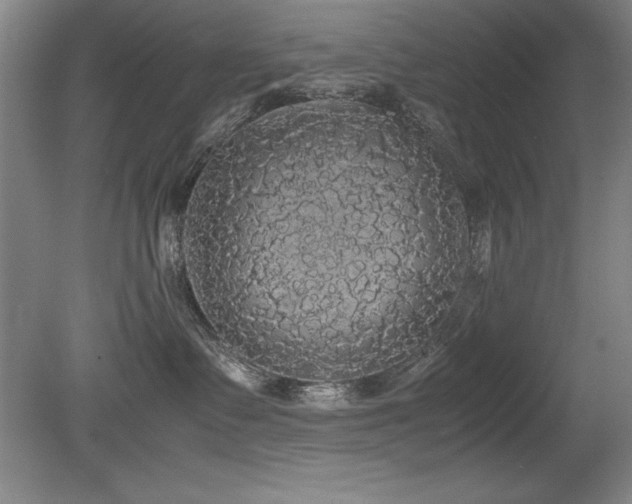 X0000079320335200611171129
