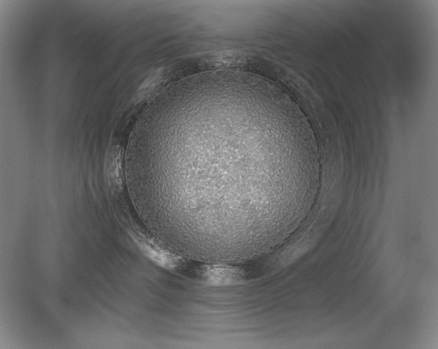 X0000079320336200611171129