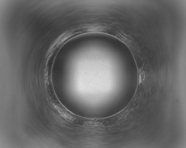 X0000079320339200611171129