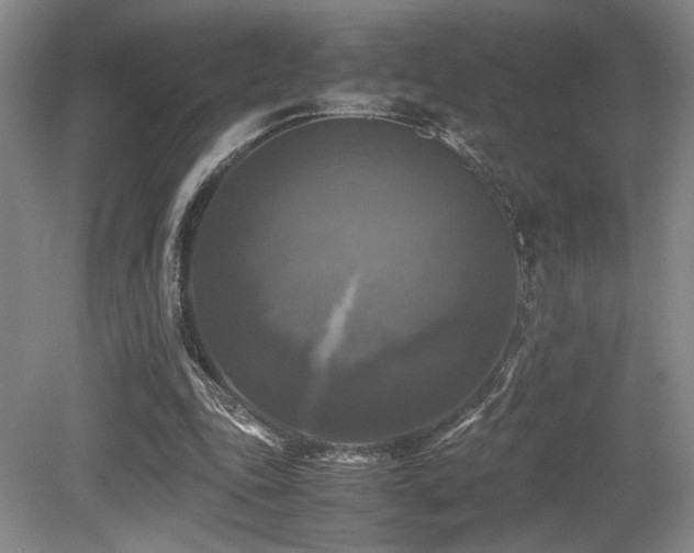X0000079320343200611171129