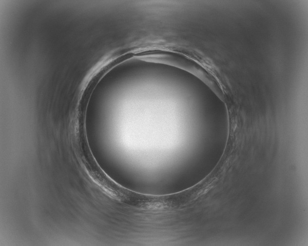 X0000079320344200611171129