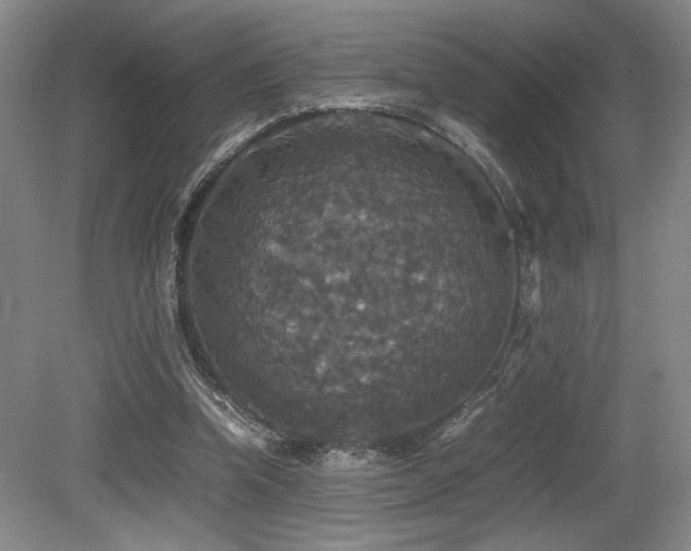 X0000079320346200611171129