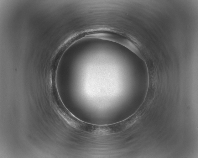 X0000079320350200611171129