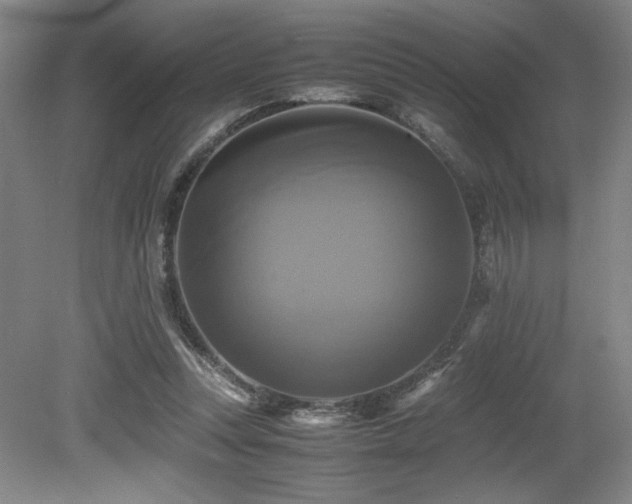 X0000079320351200611171129