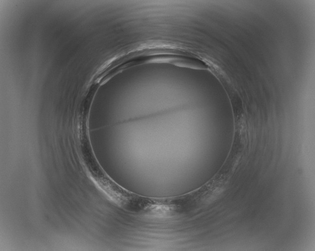 X0000079320352200611171129