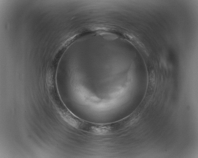 X0000079320359200611171129