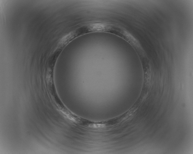 X0000079320361200611171129