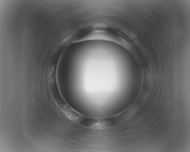 X0000079320364200611171129