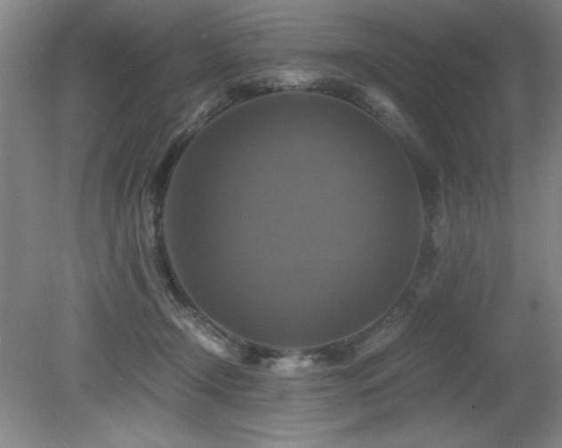 X0000079320366200611171129