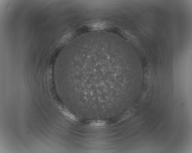 X0000079320369200611171129