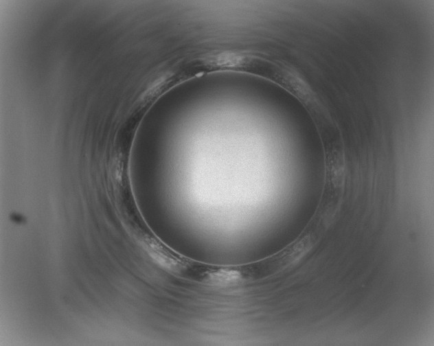 X0000079320374200611171129