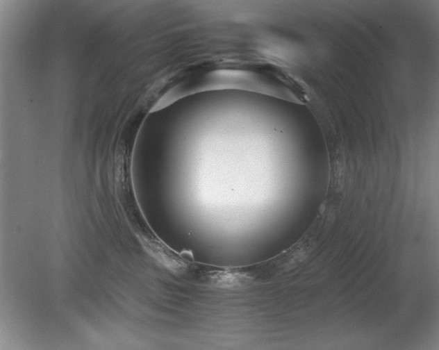 X0000079320379200611171129