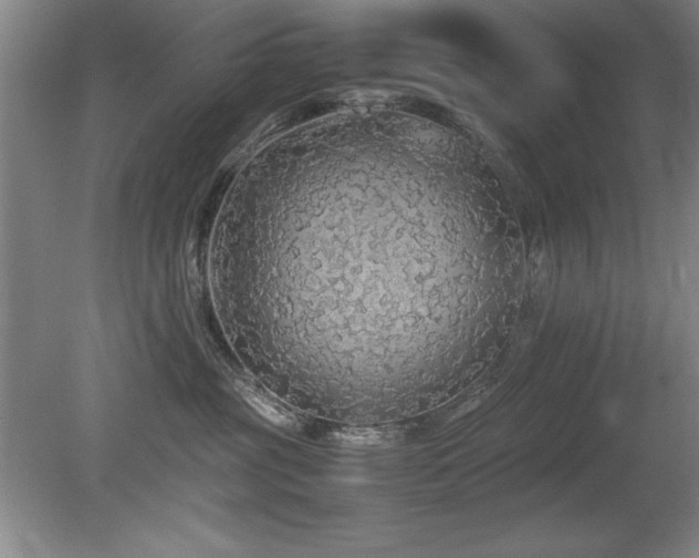 X0000079320381200611171129