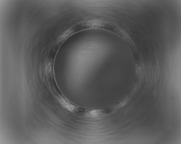 X0000079320382200611171129