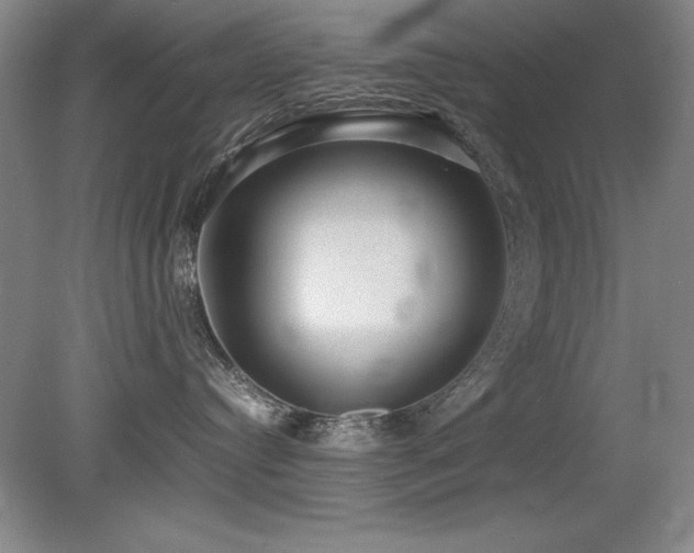 X0000079320384200611171129