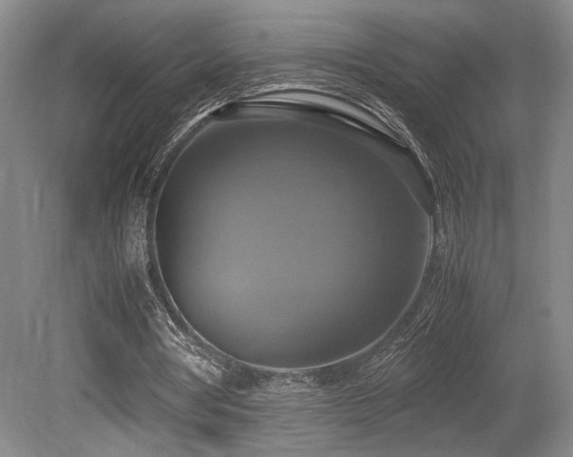 X0000079320386200611171128