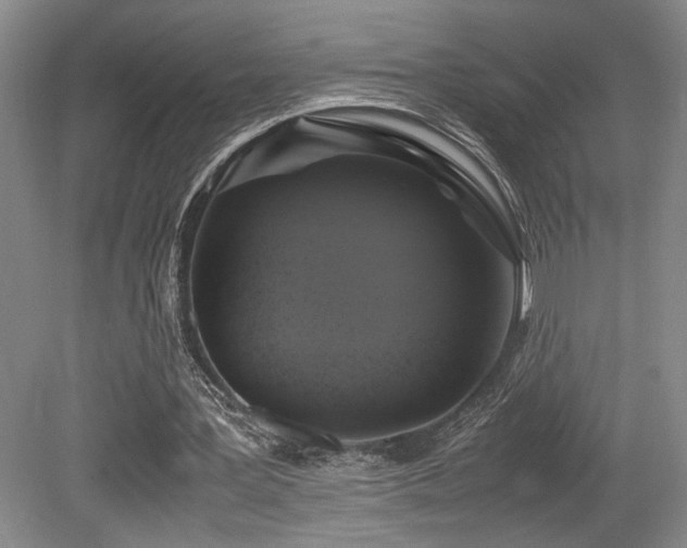 X0000079320387200611171128