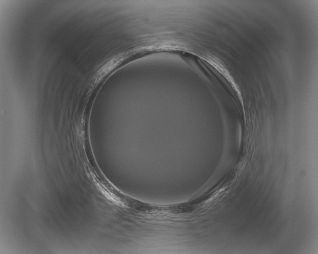 X0000079320389200611171128