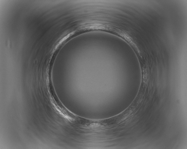 X0000079320390200611171128