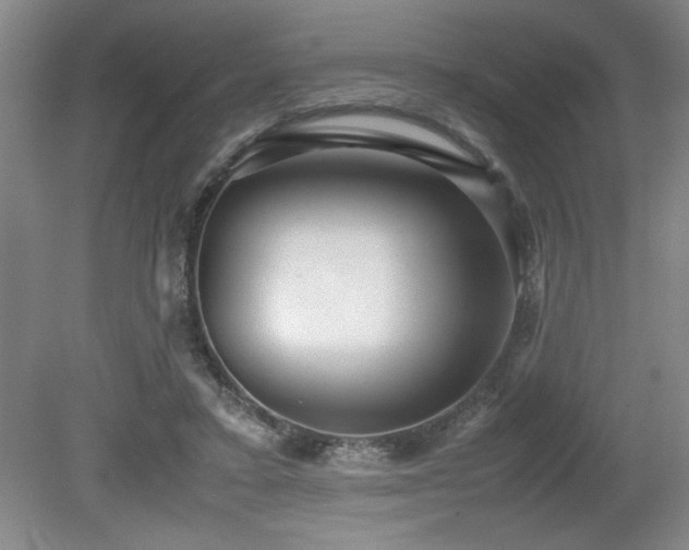 X0000079320403200611171128