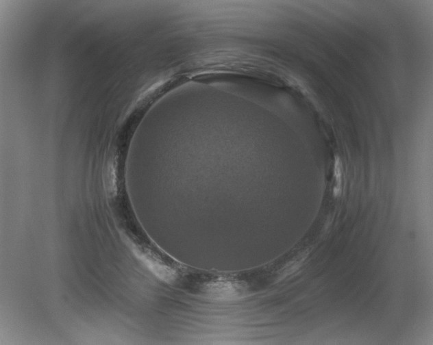 X0000079320404200611171128