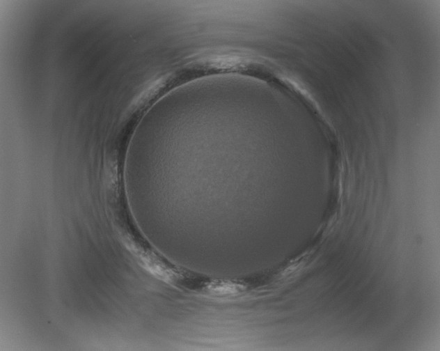 X0000079320407200611171128