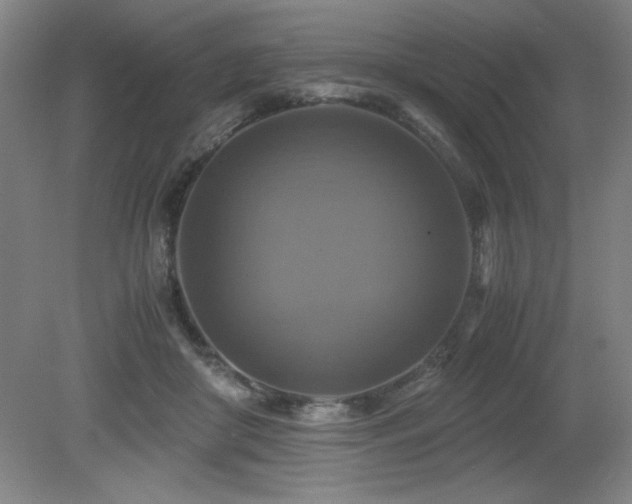 X0000079320410200611171128