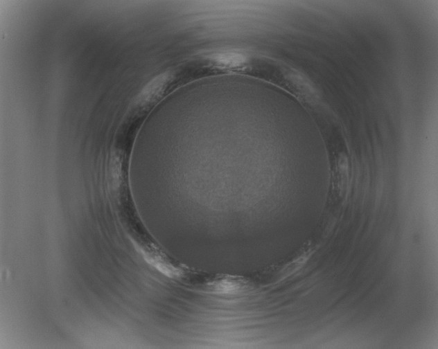 X0000079320412200611171128