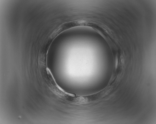 X0000079320421200611171128