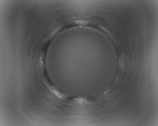 X0000079320424200611171128