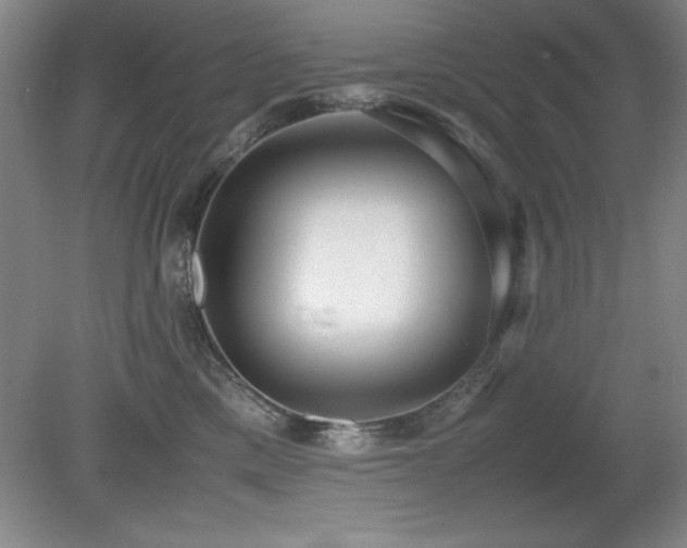 X0000079320425200611171128