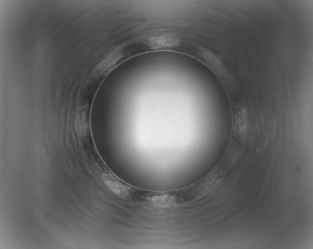X0000079320426200611171128