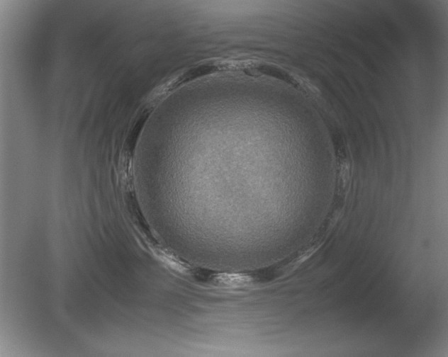 X0000079320429200611171128