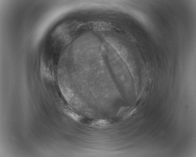 X0000079320431200611171128