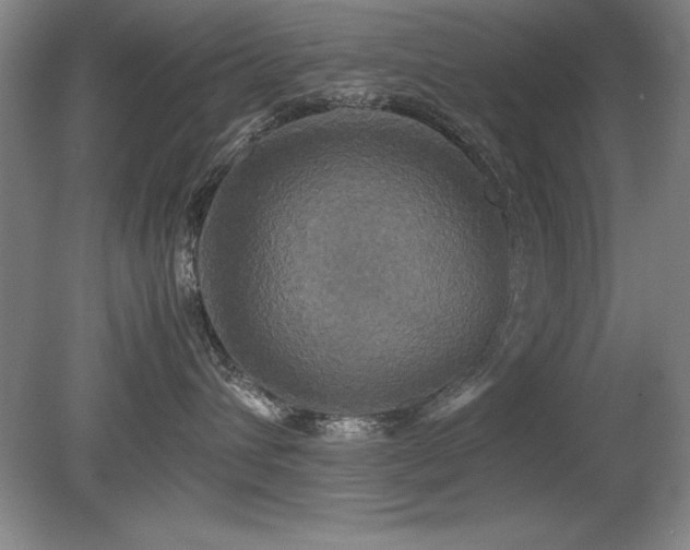 X0000079320432200611171128