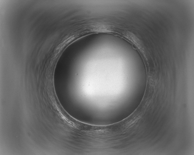 X0000079320433200611171127