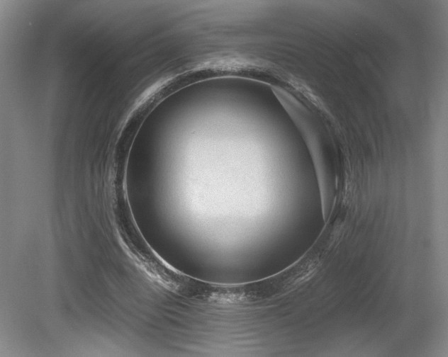 X0000079320440200611171127