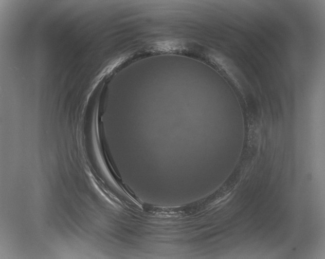X0000079320443200611171127