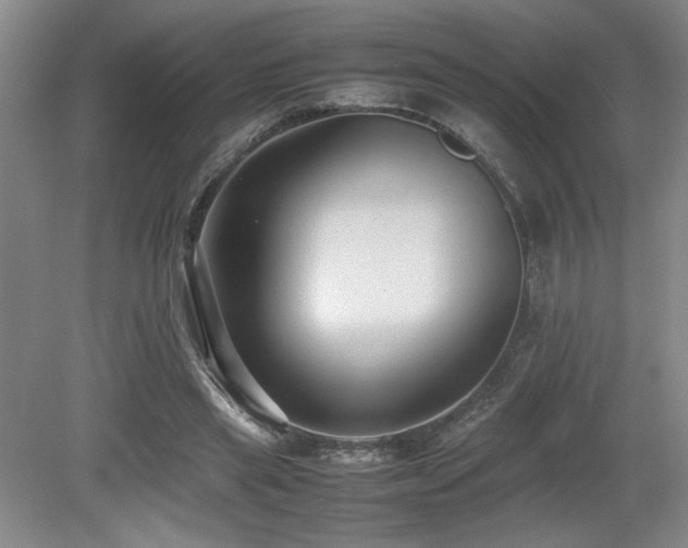 X0000079320445200611171127