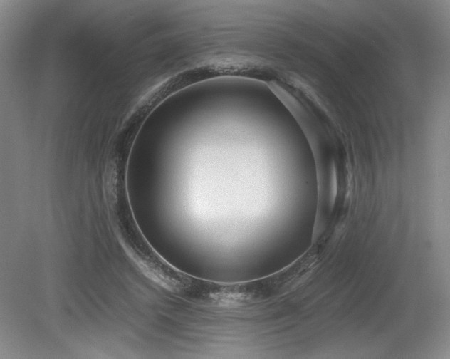 X0000079320448200611171127