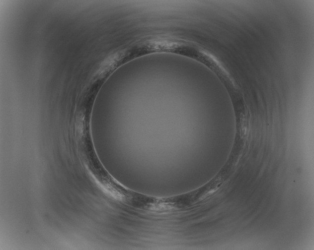 X0000079320451200611171127
