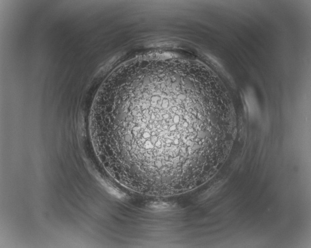 X0000079320453200611171127
