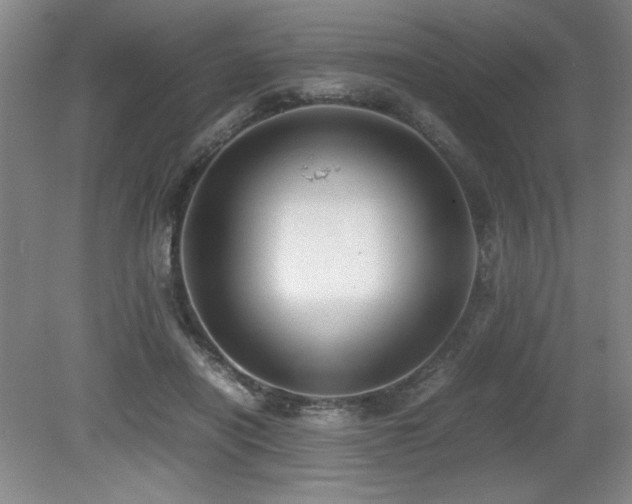 X0000079320454200611171127