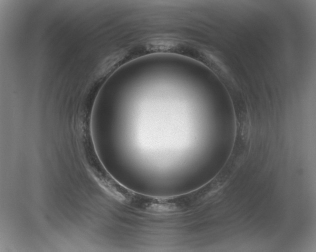X0000079320455200611171127
