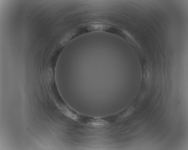 X0000079320459200611171127