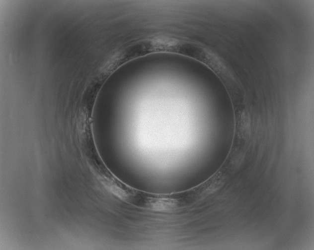 X0000079320463200611171127